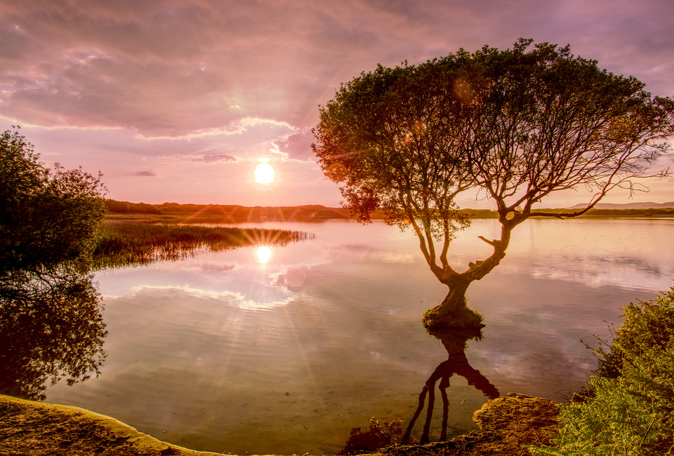Kenfig National Nature Reserve