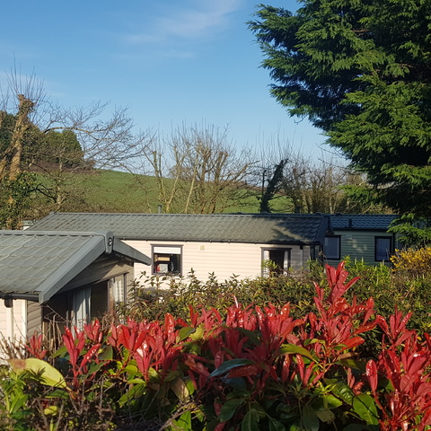 Colourful Shrubs and Gardens at Sunnyvale