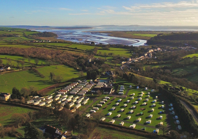 Seasonal Standard Pitch Ants Hill